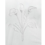 313 S velo calla