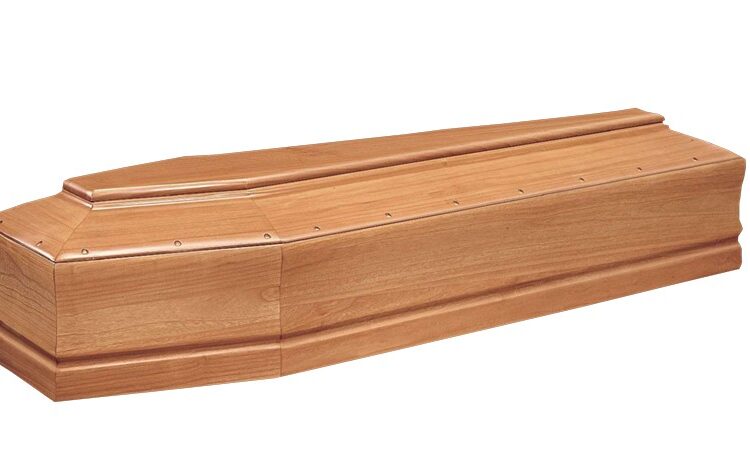 COFANO FUNEBRE PAULONIA ARTICOLO 225 LISCIO