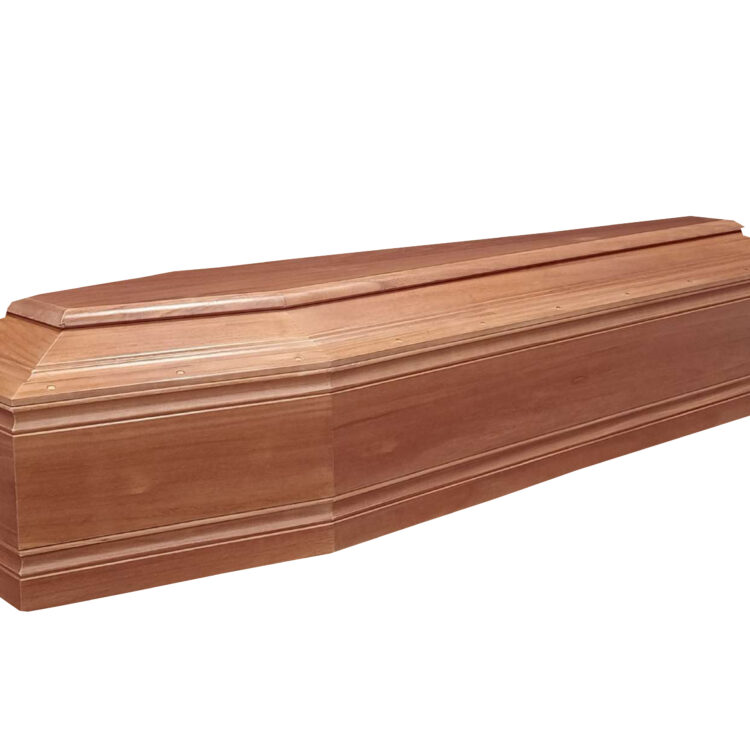 Cofano Funebre Paulonia SC1T ART 310